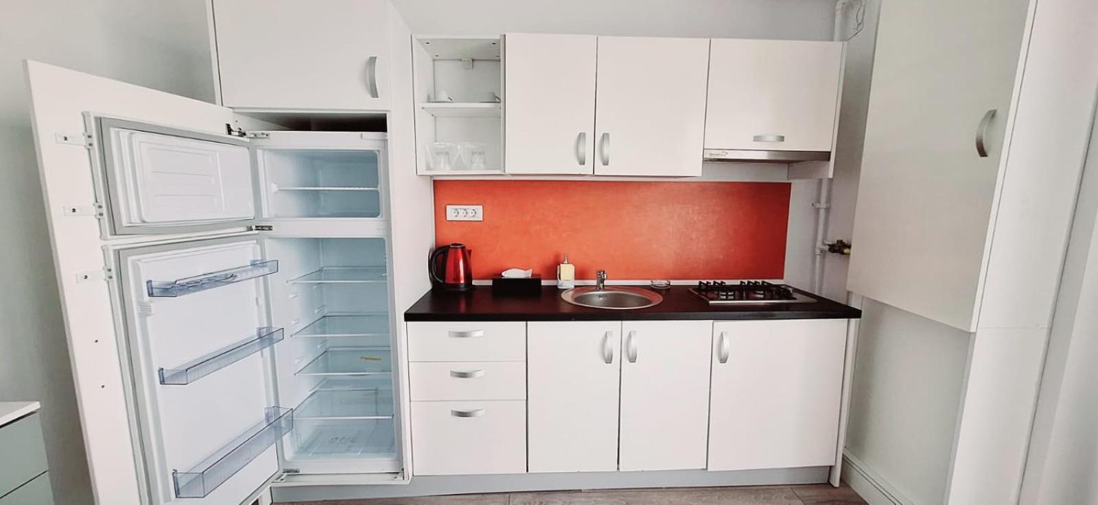 Mira & Penthouse Apartment Năvodari